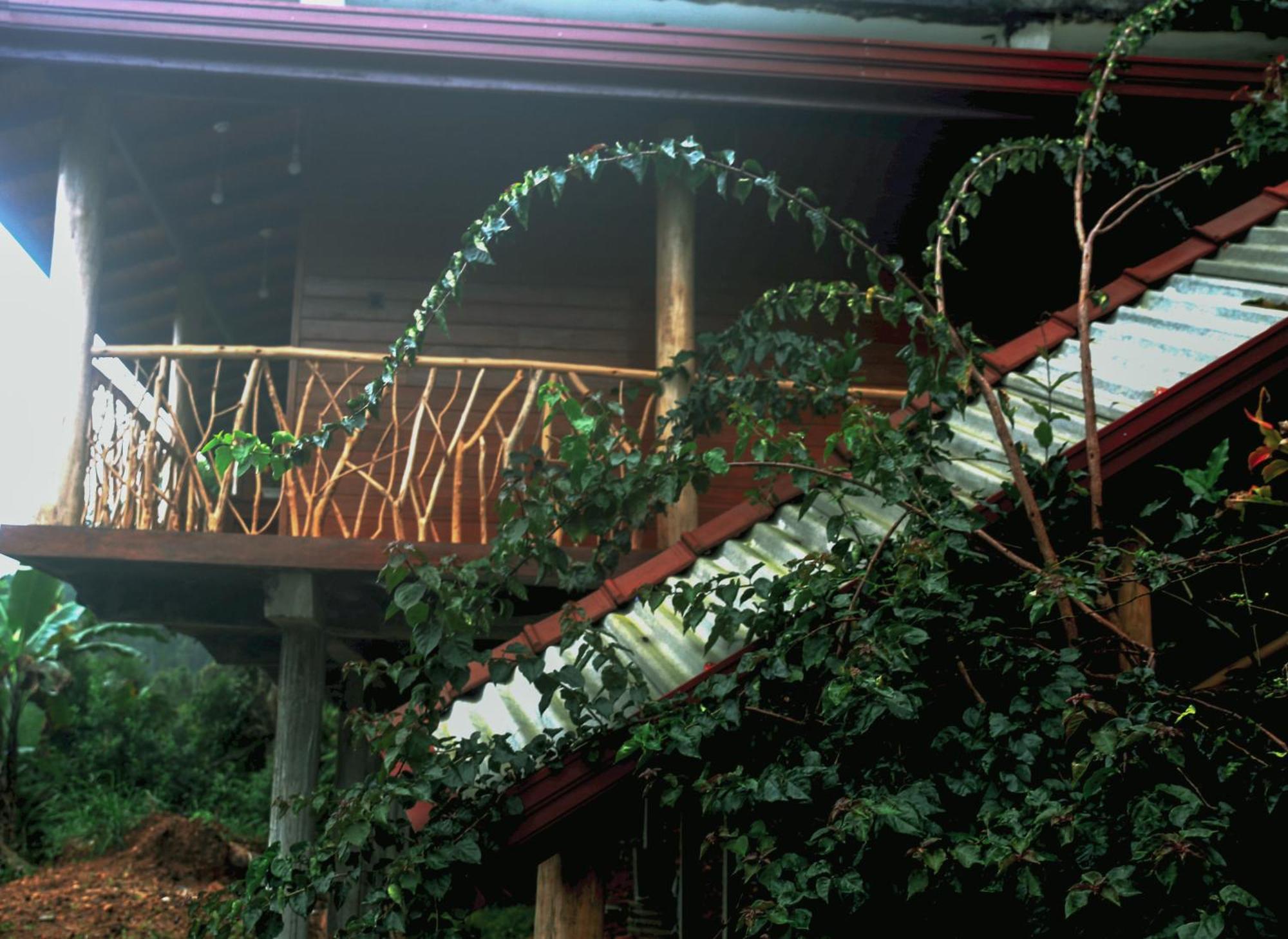 The Dream Inn Ella Esterno foto